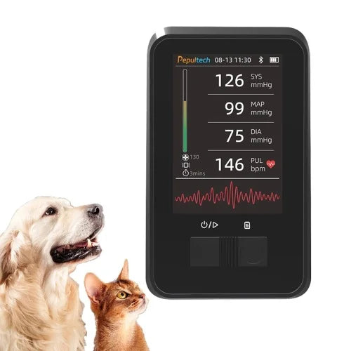 Veterinary pet animal veterinary blood pressure monitor with bluetooth and lithium battery