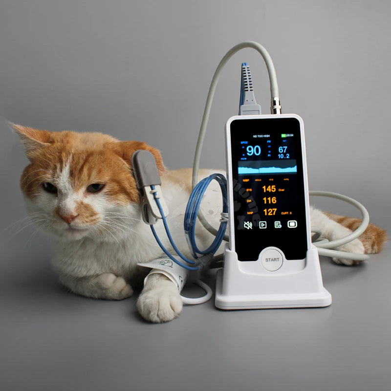 Veterinary monitoring blood pressure monitor handheld non-invasive blood pressure blood oxygen saturation body temperature function